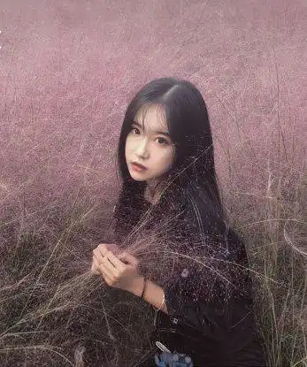 刷爆抖音的粉黛乱子草苏州也有深姐的少女心爆棚了