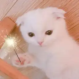 青州求职简历|青州人才求职|青州找工作-青州在线