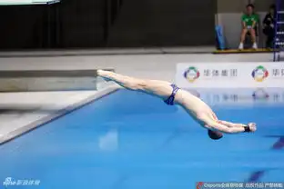 跳水系列赛3米板王宗源获铜牌