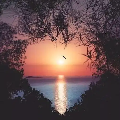 中老年头像大全霸气意境男风景的微信头像