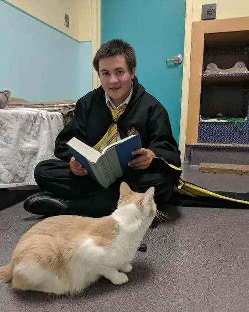 男孩每天为盲眼浪猫读哈利波特,原本抗拒人类的它竟然变了