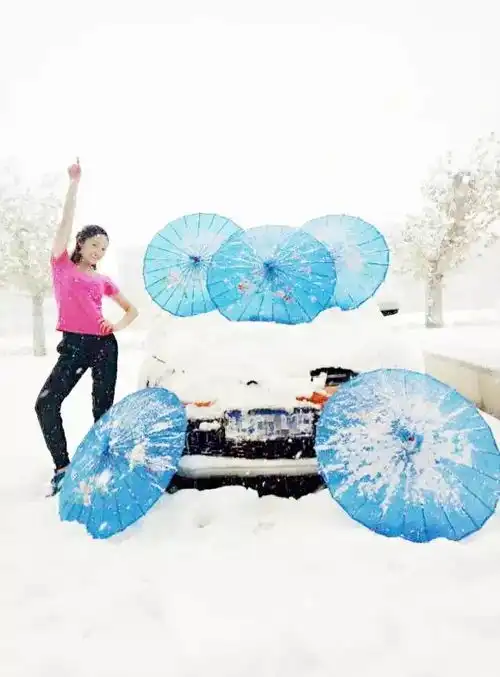 红梅傲雪映洛师