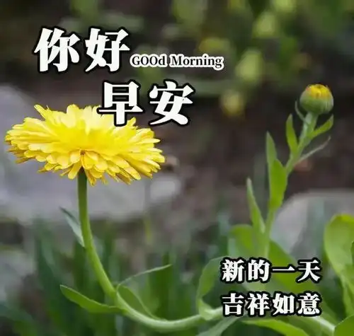 5.13.早安美图世间最美好的养生,是静享时光