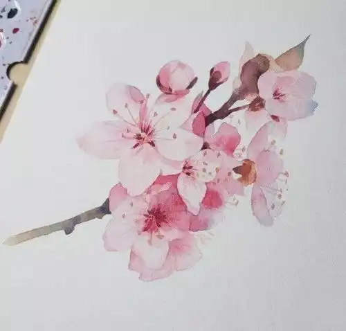 樱花水粉画教程图片