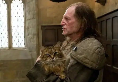 哈利波特系列中最被低估的七段友谊