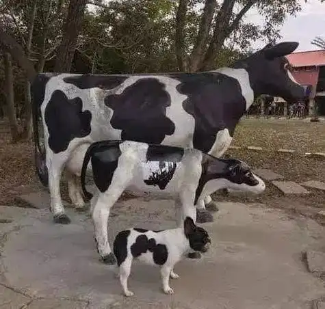 你月薪五万,我就挣五百,你会嫌弃我吗哈哈哈