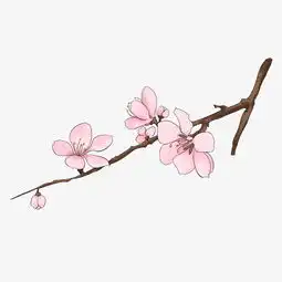 粉色的桃花手绘插画图片素材其他格式下载动漫人物大全