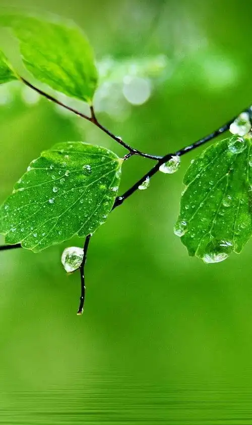 红林悟道韩非子亡征第十二章尊重与权术