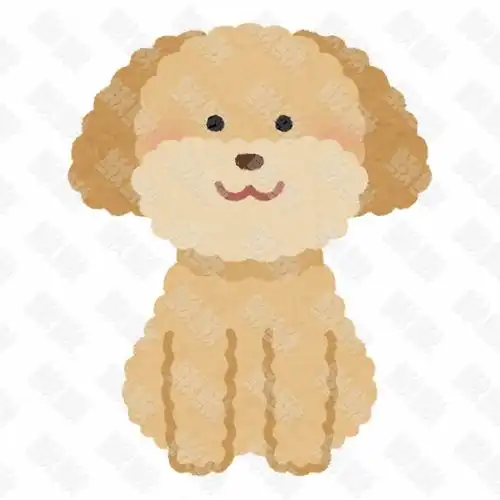 泰迪犬3狗狗写实插画的小狗狗手绘卡通插画手绘png儿童插画免扣素材1阿猫阿狗