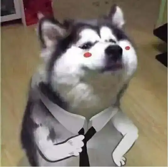 禁欲系项圈小狗情侣头像