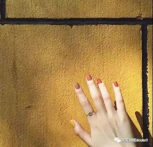 年度流行色珊瑚橘,一只橘色的猪,旺你哟