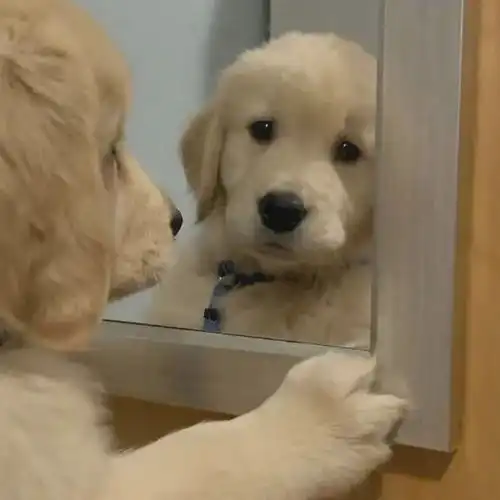 文案人生艰难你也要坚强