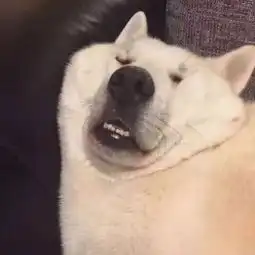 有哪些知道后让你震惊的冷知识