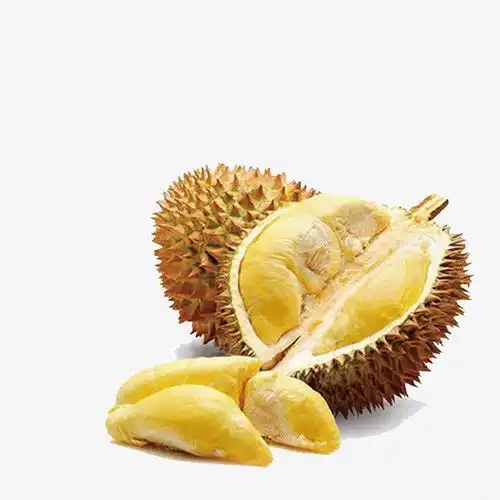 切开的泰国金枕榴莲png免抠素材宣传设计图片免费下载页面网页平面电商创意素材png素材png免抠素材