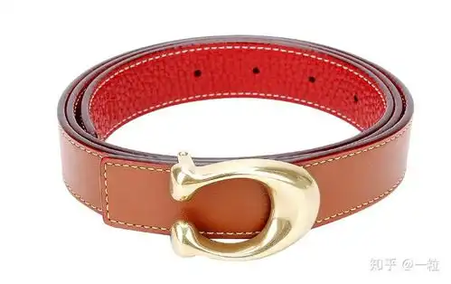 女士腰带有哪些好看品牌款式2023年女性轻奢侈皮带选购清单排行榜,七夕情人节生日送女友老婆礼物