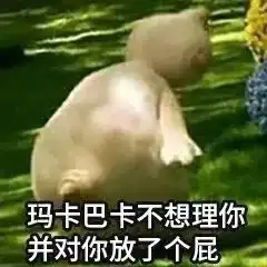 你的玛卡巴卡表情上线啦