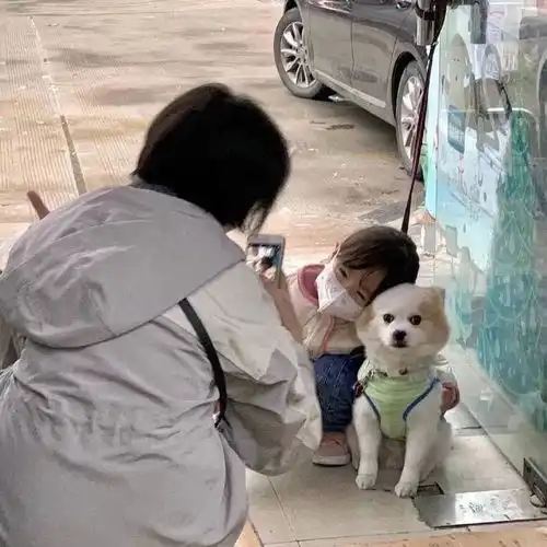 背景图闺蜜情侣背景图,甜蜜而美好