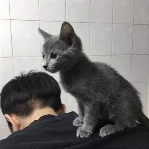 缓一缓梦扬高音质在线试听缓一缓歌词歌曲下载酷狗音乐