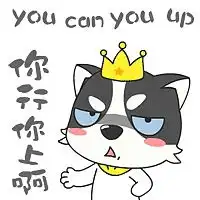 哈士奇狗狗米迦micha
