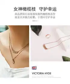 victoriahyde雅典娜系列项链个性时尚锁骨链ins配饰情侣送女友礼物