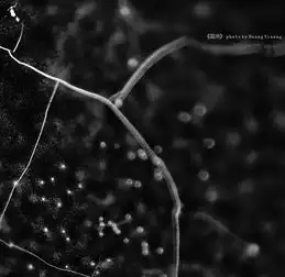 混沌黑白画册中部分作品