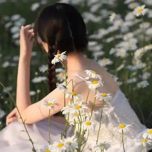 女生头像丨我的手被划了一道口子