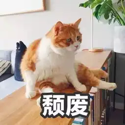 猫系男vs犬系男,到底我该选哪款