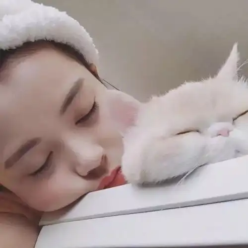 猫系人物头像李凯馨