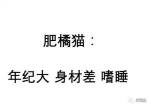 继小奶狗男生之后,猫系女孩也来了