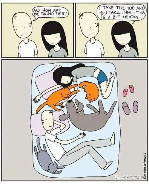 猫咪vs人类幽默网络漫画描述猫奴的辛酸与幸福