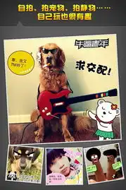 火兔搞怪相机funnygram下载火兔相机真人漫画轻松拍下载火兔搞怪相机funnygramiphone版下载