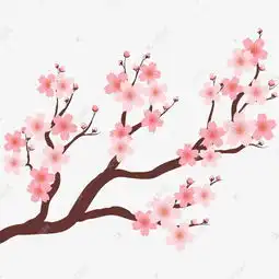 美丽的樱花树素材图片免费下载高清装饰图案psd千库网图片编号7836709