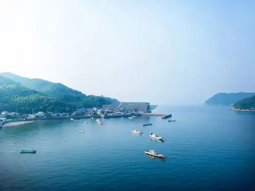 宫崎骏冷门动画其实崖上的波妞才是献给孩子们最好的礼物