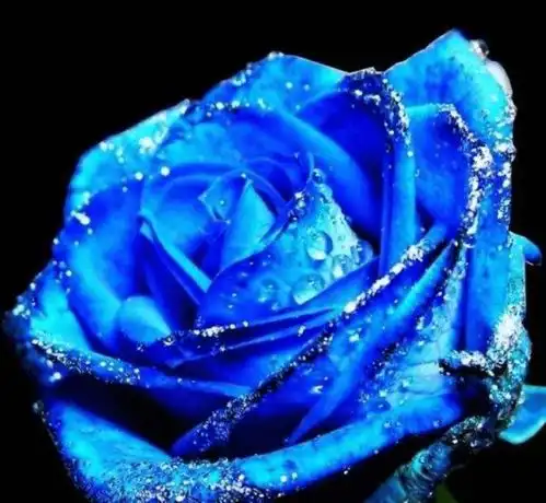 好运不断,诸事顺遂升官发财,获得同事认可3大生肖