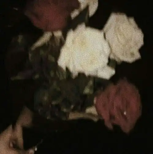 捧花唯美治愈系背景图