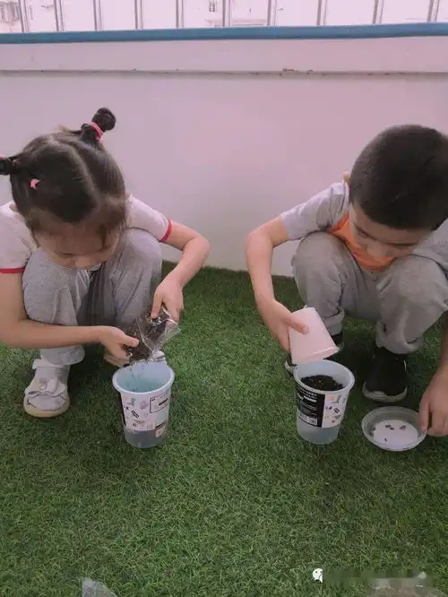 阳光下的向日葵记永兴佳园幼儿园大一班班本课程