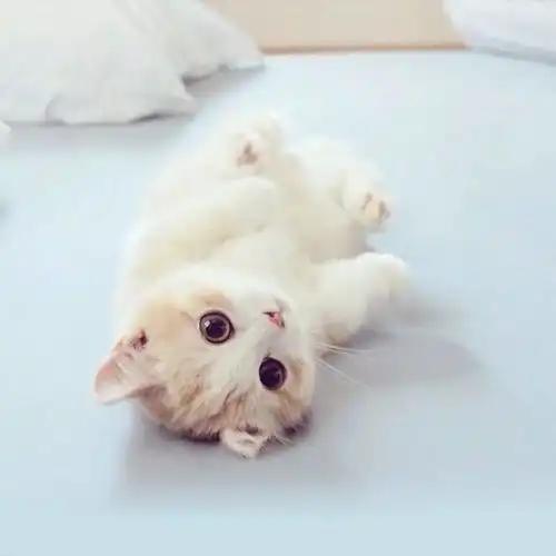 专一不是一辈子只喜欢一个人,是喜欢一个人的时候一心一意爱情