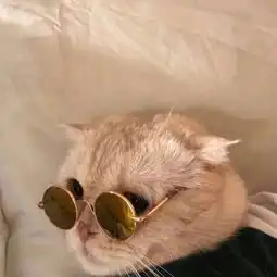 剑舞琴音的微博微博