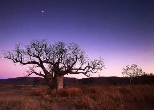 小众目的地西澳独占澳洲顶级美景,孤独星球官方推荐