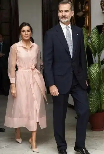 西班牙王后太惊艳穿粉色透明纱裙美成小仙女,48岁还有颗少女心