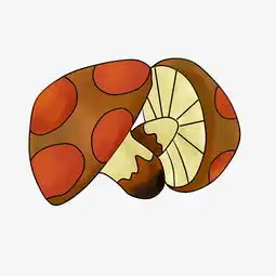 手绘卡通棕色蘑菇插画图片素材其他格式下载动漫人物大全