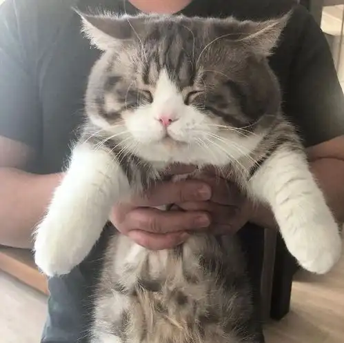 开心一刻去闺蜜家找她玩,在楼下看见她正在倒车