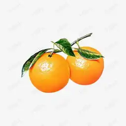 橘子素材图片免费下载高清装饰图案png千库网图片编号103057