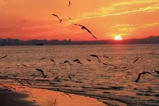 烟台的美,从清晨到日落