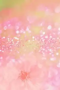 女生手机壁纸专利帖最爱粉红系列