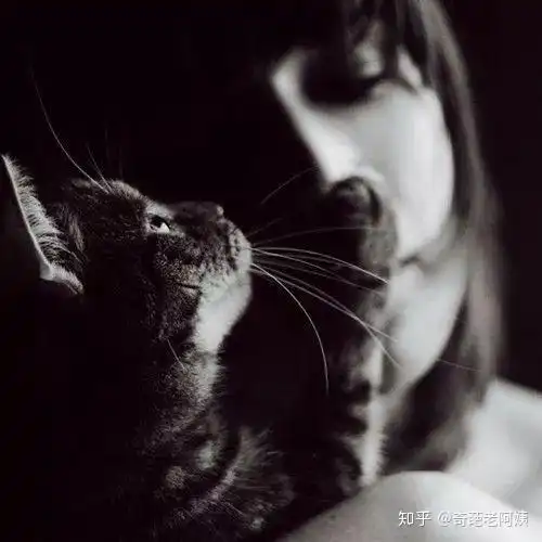 穷人,有人说你是坏蛋