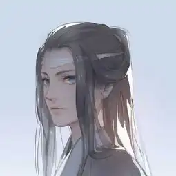 我永远喜欢蓝忘机,那位雅正端方的含光君
