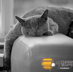 家中爱猫过世,主人将它p成神兽陪伴自己守豪宅