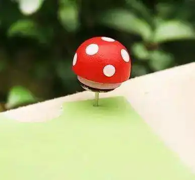 对每个人都有用的10大教育原理