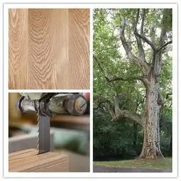 大自然地板如何避免选购橡木地板的5大误区